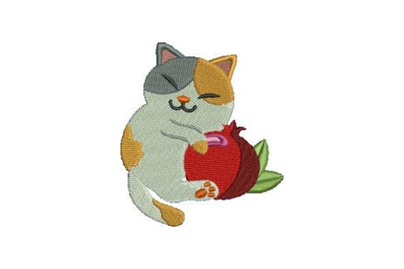 Cat Hugging Pomegranate: A Designer’s Review